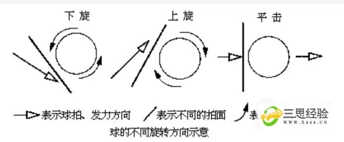 乒乓球接旋球怎么练习视频教程分享-第2张图片-www.211178.com_果博福布斯