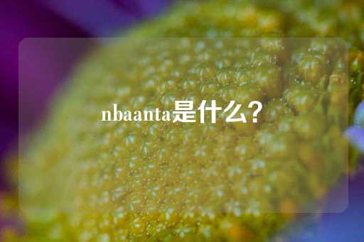 nbaanta是什么？