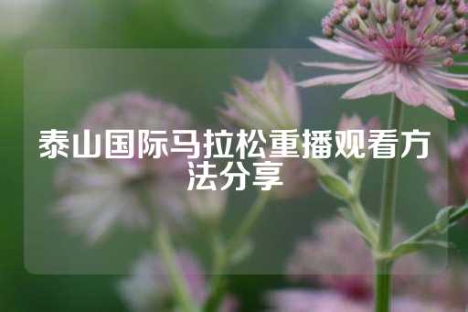 泰山国际马拉松重播观看方法分享-第1张图片-皇冠信用盘出租