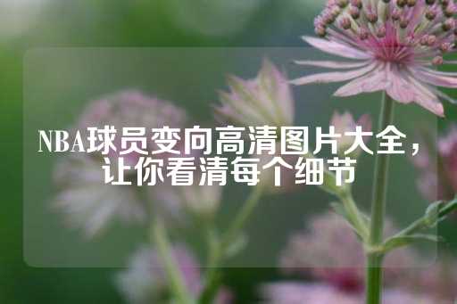 NBA球员变向高清图片大全，让你看清每个细节