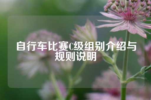 自行车比赛C级组别介绍与规则说明-第1张图片-皇冠信用盘出租