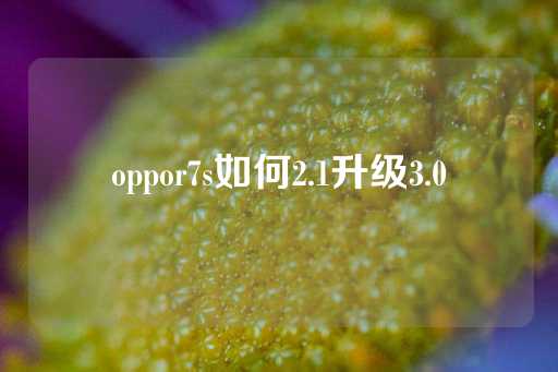 oppor7s如何2.1升级3.0-第1张图片-皇冠信用盘出租