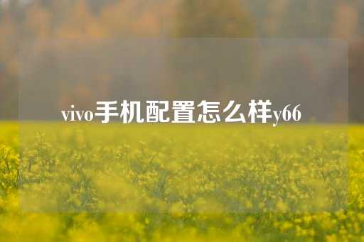 vivo手机配置怎么样y66-第1张图片-皇冠信用盘出租