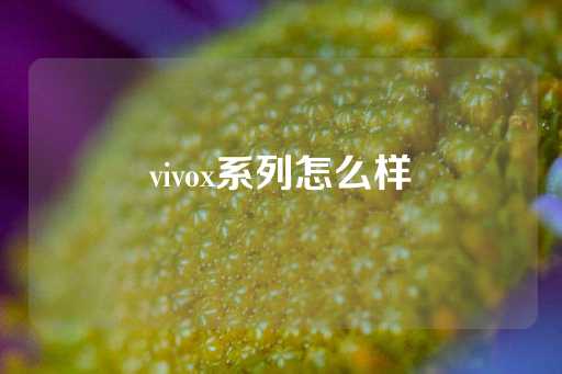 vivox系列怎么样-第1张图片-皇冠信用盘出租