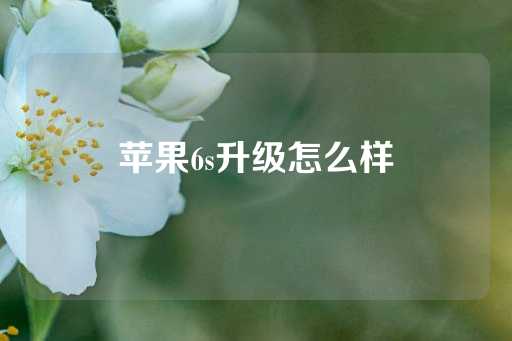 苹果6s升级怎么样-第1张图片-皇冠信用盘出租